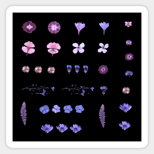 Colorful blue-violet dried flowers Sticker